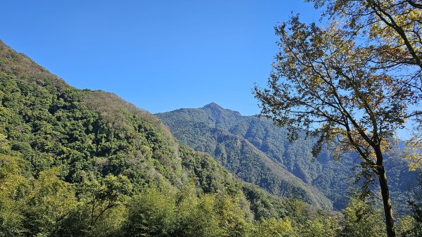 橫龍山 橫龍山北峰 騰龍山 龍年爬龍山2423206