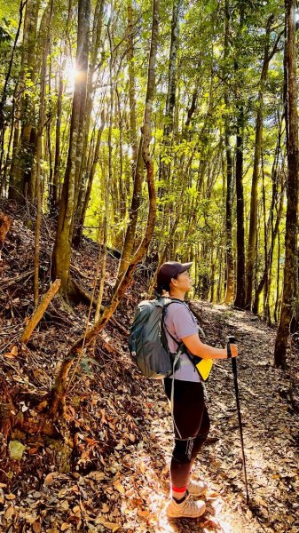 🌈11/15（六）松鶴上八仙山下森林遊樂區✨FB：熊熊趴爬走🌈2937673