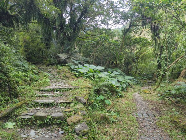 2025.01.10－松羅國家步道2981178