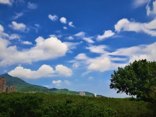 關渡親山步道｜雨過天晴 讓我們看雲去1434485