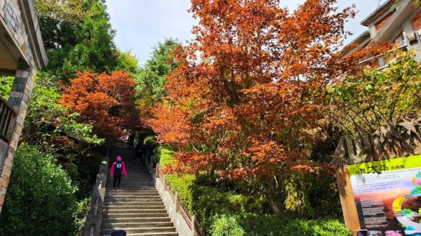 太平山森林遊樂區，檜木原始林步道，九寮溪自然步道，戈霸瀑布，開眼崙登山步道1936702