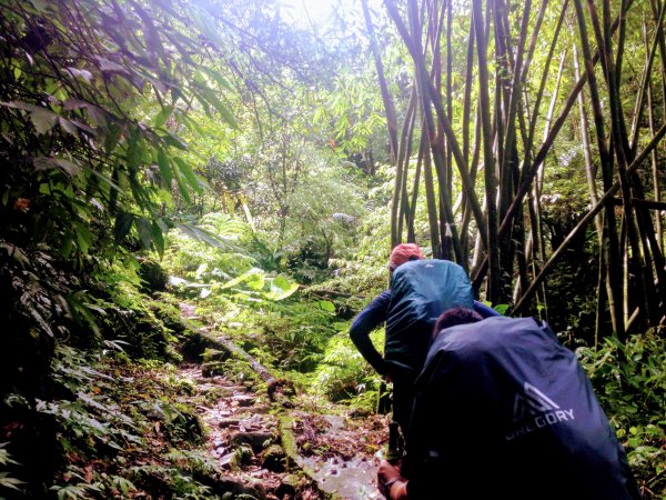 淡蘭古道中路【崩山坑-石空段】640666
