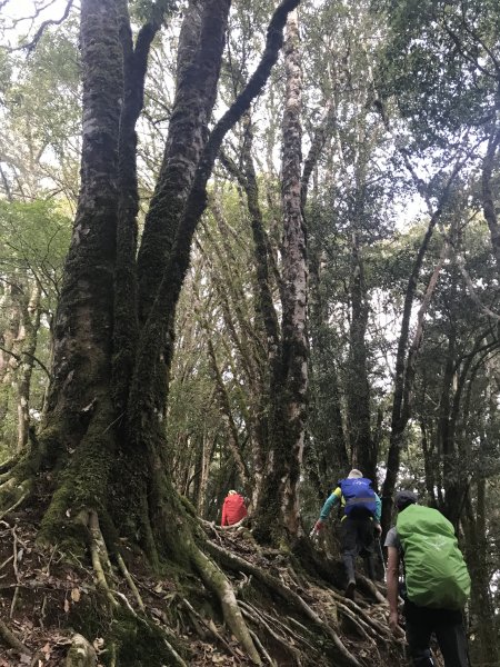 霞喀羅大山,佐藤山順訪佐藤駐在所1324511