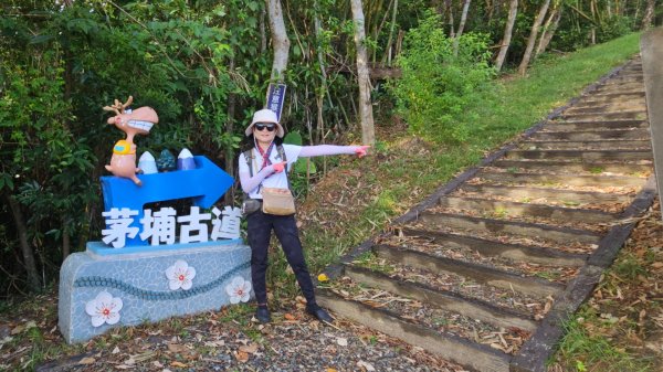 宜蘭梅花湖→茅埔城古道→茅埔圍山→中山亭步道→三清宮步道→環湖步道輕鬆O走3108900