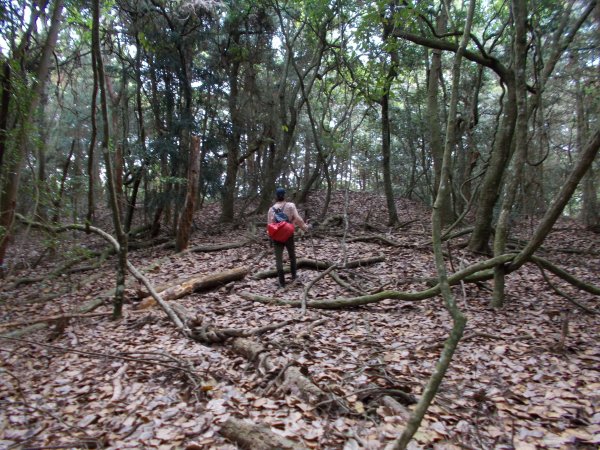 東閂岡山﹑梅松山﹑真巴烈山﹑麻加拉路山﹑摩里克安山1357359