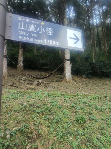 惠蓀湯公啤&小嵐2697820