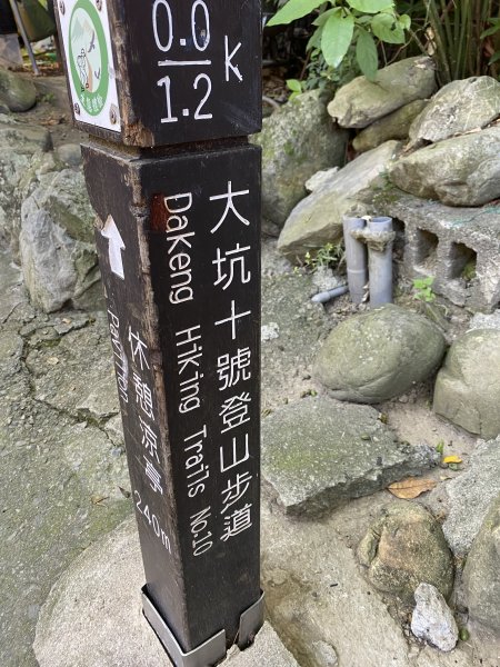 《夏日大坑同行記｜10號步道登稜線，與家人感受山風與人情味》2926331