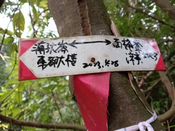 基隆市三層山+湳子大崙+淡基橫斷古道+面桶寮土地公2982262