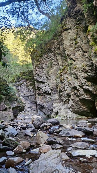 20251214合歡西北下華崗2963733