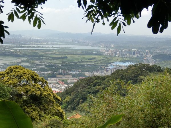 走永春寮步道登中正山，由第一登山口轉頂湖山下頂湖 (2021/3/26)1416708