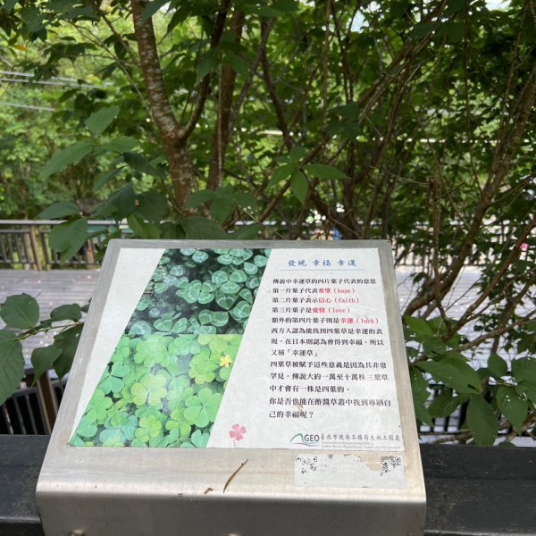 臺北大縱走第四段：風櫃口到大湖公園捷運站2155438