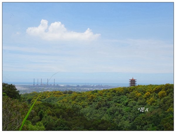 大肚環保公園登山步道1001352