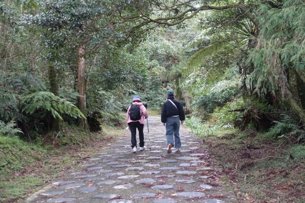 獅公髻尾山3086285