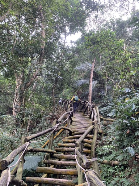 20251108台中頭嵙山-二嵙山2933365