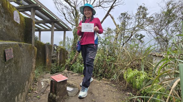 2025貓空杏花林杏花大爆發，粉紅、深紅及白色杏花爭奇鬥艷，從公車站步行20分鐘即抵達2720168