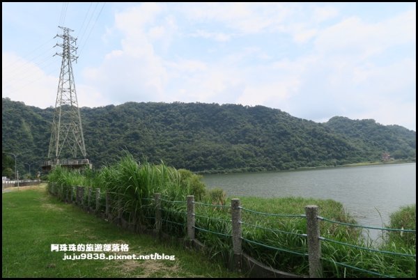 大溪左岸自行車道｜中新里韭菜花海超浪漫｜1101564