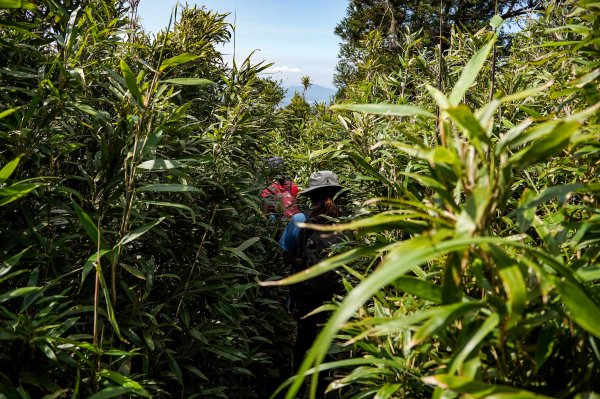 五分山｜小百岳2915458
