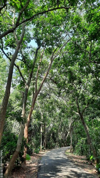 《彰化》登山禮佛｜松柏嶺登廟步道及坑內坑森林步道O型202307152219570