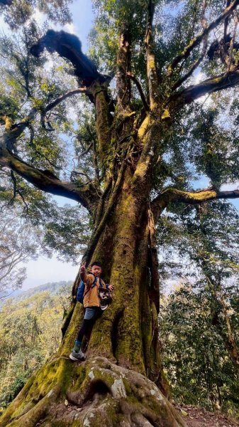 🌈3/21（六）頂湖上大凍山下奮起湖老街✨FB：熊熊趴爬走🌈3020186