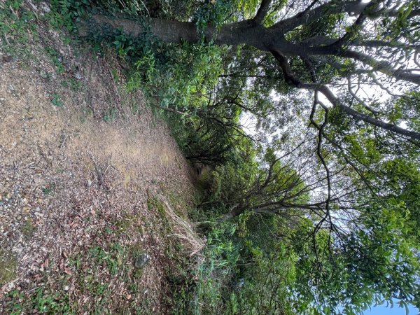 2025/04/19 小百岳第006基隆山2766347