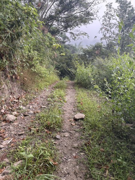20251108西阿里關山步道(小林村東側登山口啟登)2933490