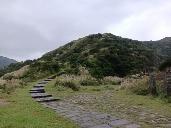 瑞芳區本山地質公園步道+草山公路+百二崁古道+樹梅坪古道O型2945511