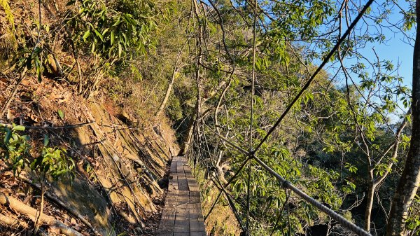 [台南楠西]梅嶺獵鷹尖一線天|伍龍步道|樹林裡攀岩拉繩好有趣~上稜線看山巒美景野餐趣1627118