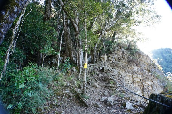 新竹 五峰 西高橋山、霞喀羅大山2959329