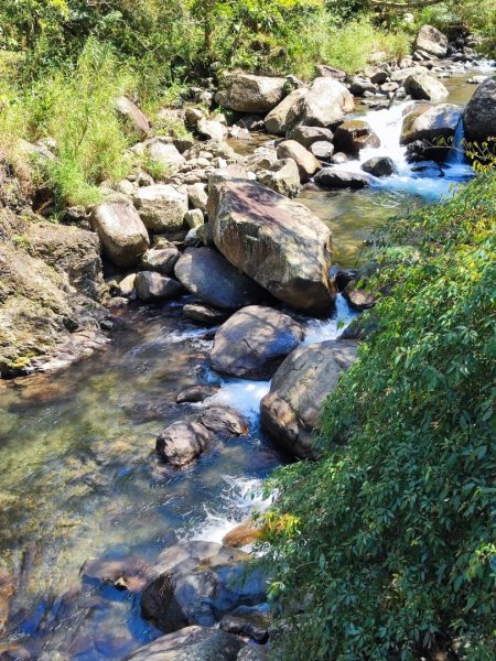 血籐大亂鬥3015529