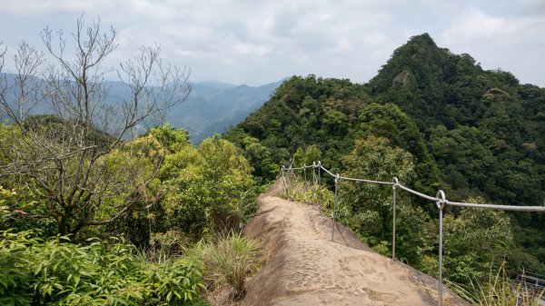 皇帝殿_皇帝殿東峰968965