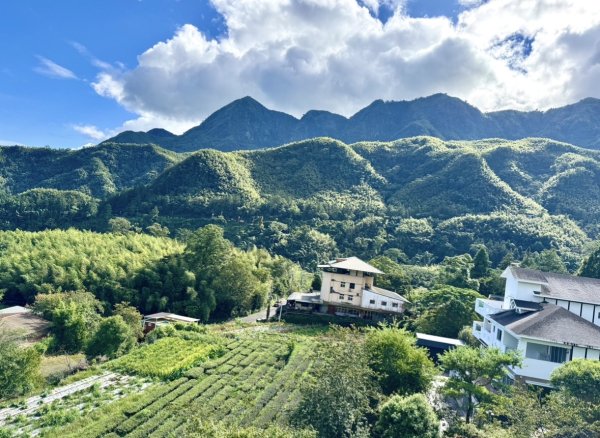 挑竹古道6號走小半天6連峰出孟宗竹林古戰場3108800