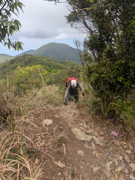 白鷺部落至大武藏山與舊古樓社2782338