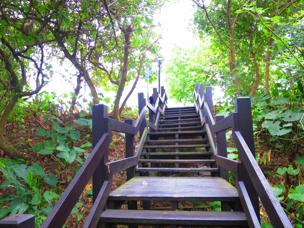 登小觀音山生態登山步道而小臺北863518