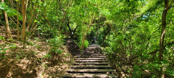 柴山登山步道1454344