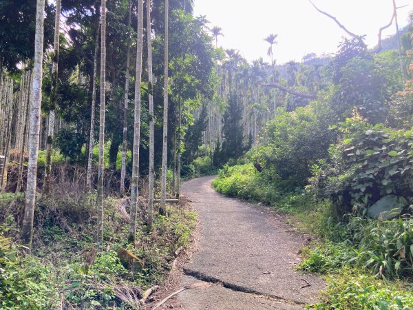 後尖山步道2683550