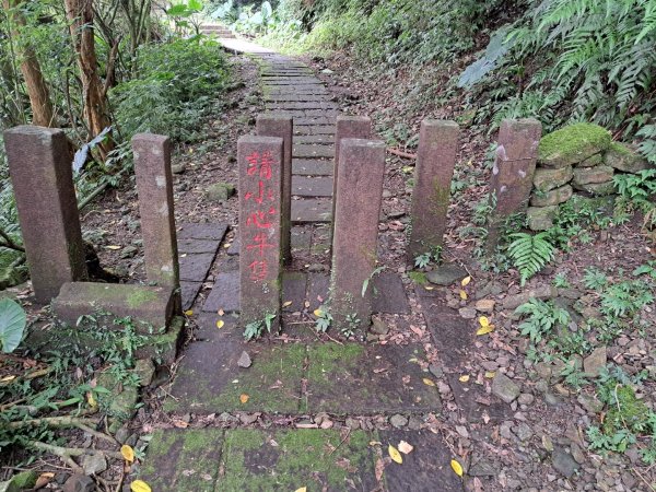 新北桃源谷步道（大溪線）3106365