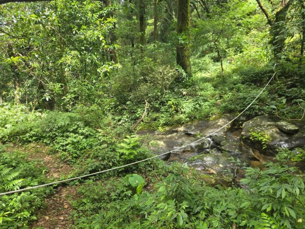 20260822梳妝三山(梳妝樓山-梳妝頂山-梳妝頭山)3111535
