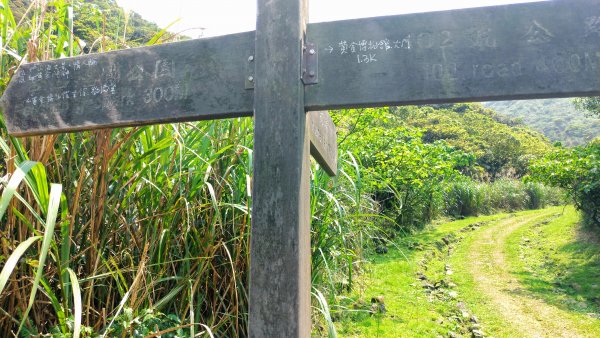 黑肉坪至本山地質公園910044