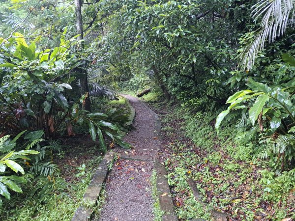 新北三貂嶺瀑布群步道3106275