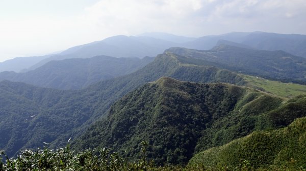 灣坑頭山，大里上大溪下1993799