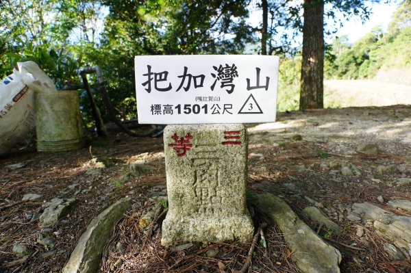 桃園 復興 把家灣山、低陸山2865345