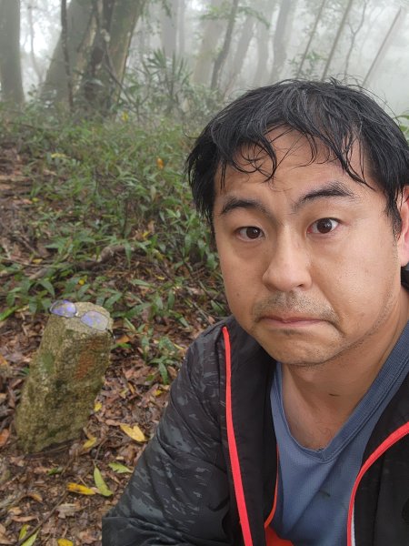 20260201雞冠山與黃麻園山(苗栗縣大湖鄉)3004234