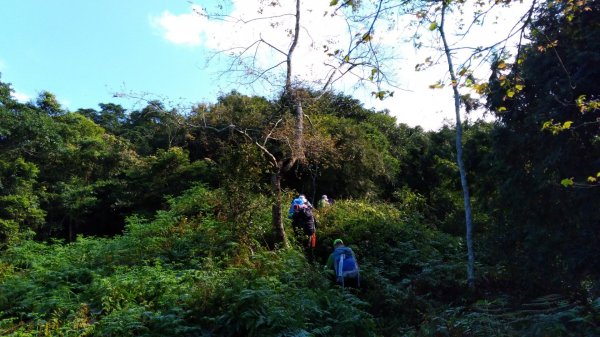 日湯真山、西大武山422645