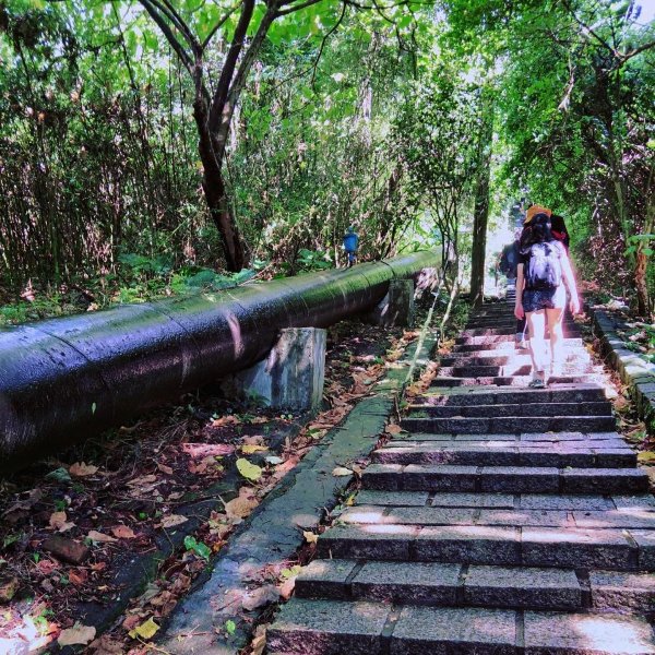 天母水管路步道 - 翠峰瀑布（來回 2 小時，3KM）1491255