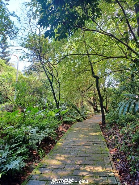 【新北金山】三面臨海視野佳。 獅頭山公園步道x神秘海灘x燭臺雙嶼2818730