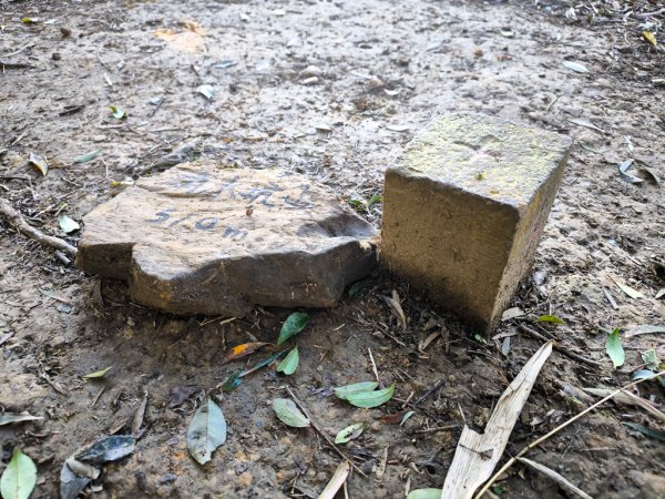 2026-01-25 龍潭小粗坑古道上石門山2994133