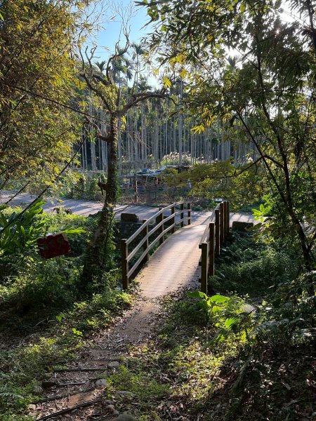 新北 林口 森林步道3015279