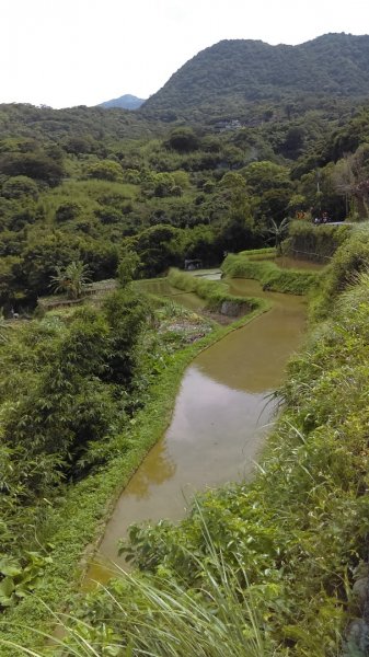 半嶺步道→陽峰古道→陽明公園→前山公園1028463