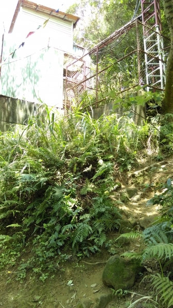 鳶山-福德坑山 105.06.2450365