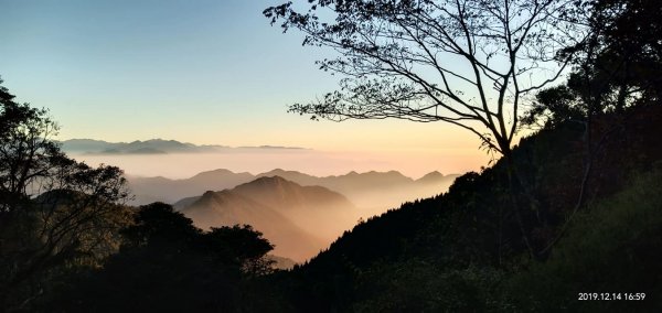 108.12.14台中稍來山（紅榨槭，夕776885